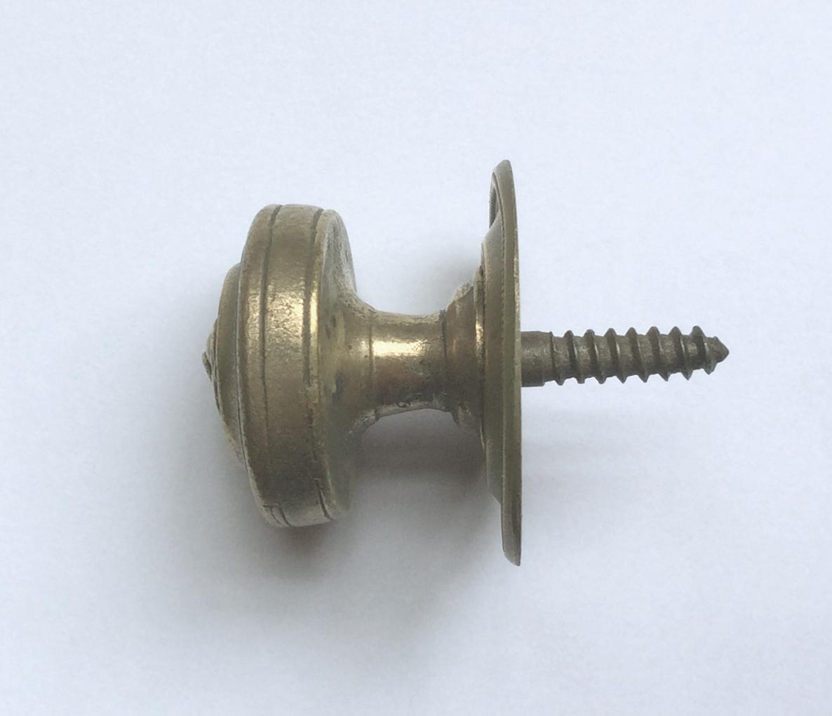 Georgian Replica Shutter Knob with Lion Face, 26mm