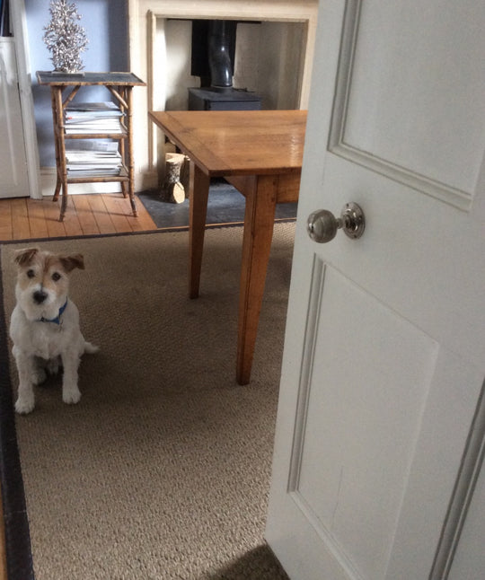 Reclaimed "BEEHIVE" DOOR KNOB SET , Nickel.